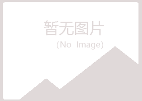 平昌县字迹能源有限公司